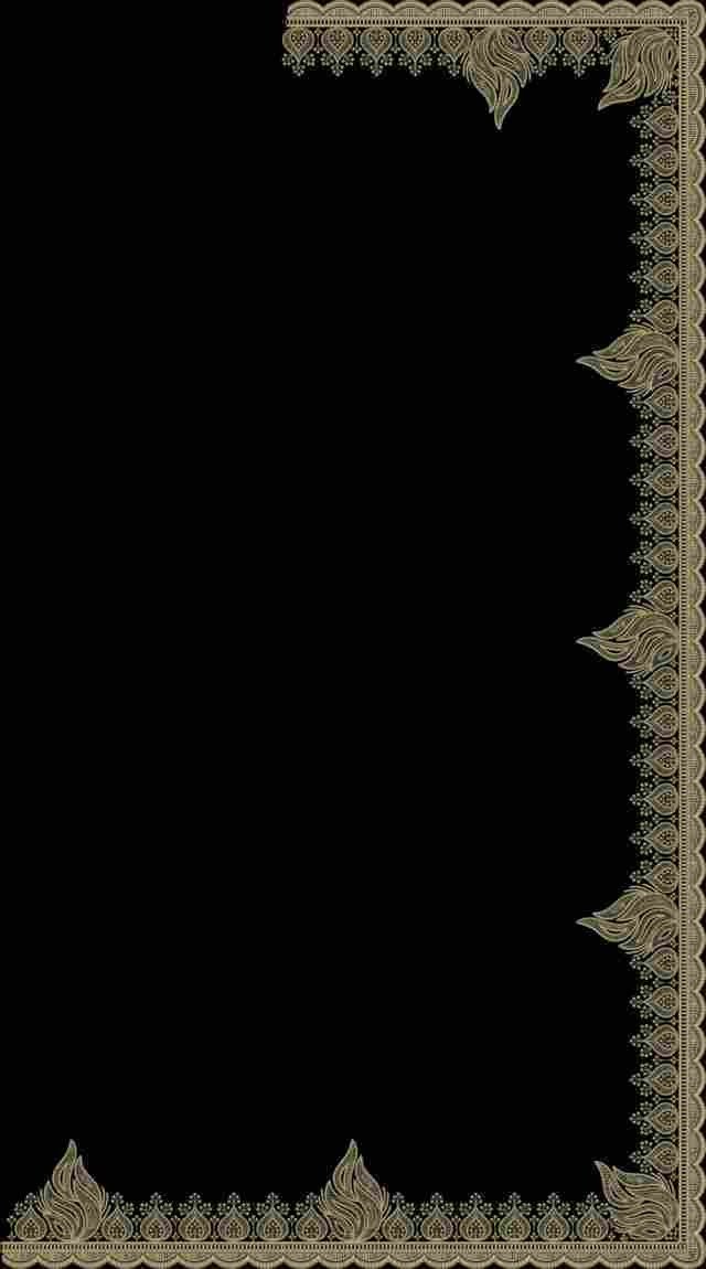 C Pallu Saree Design