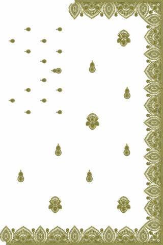 C Pallu Saree Design