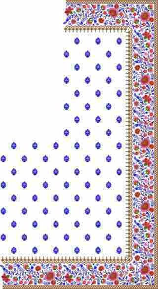 C Pallu Saree Design
