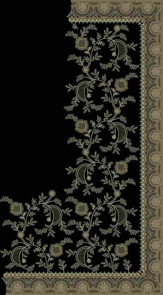 C Pallu Saree Design