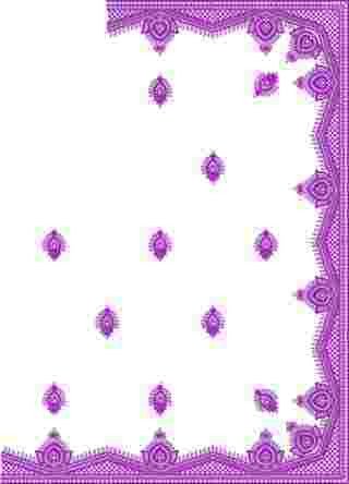 C Pallu Saree Design