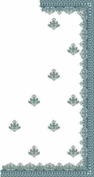 C Pallu Saree Design