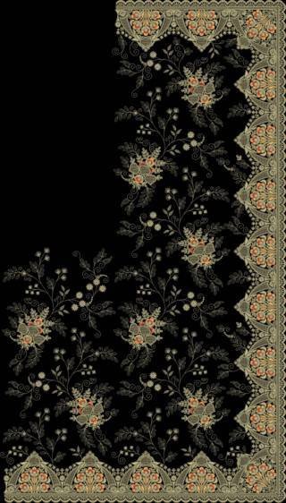C Pallu Saree Design