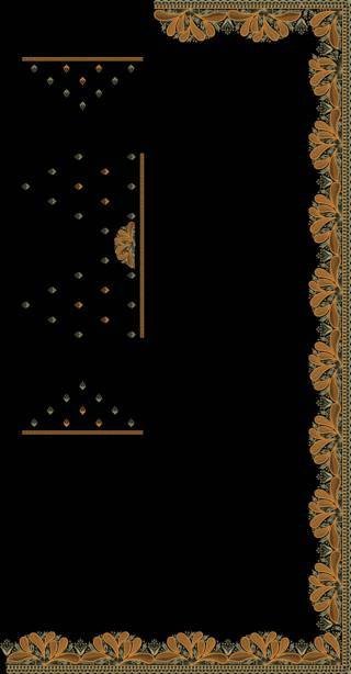 C Pallu Saree Design