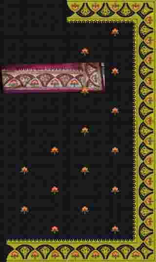 C Pallu Saree Design