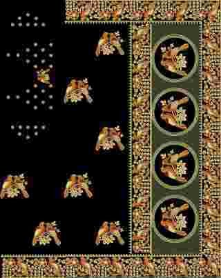 C Pallu Saree Design