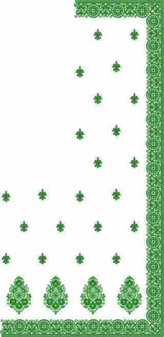 C Pallu Saree Design