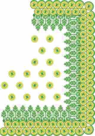 C Pallu Saree Design