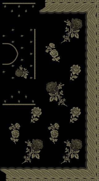 C Pallu Saree Design