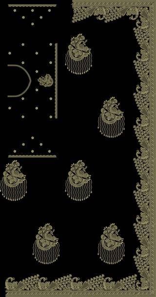 C Pallu Saree Design