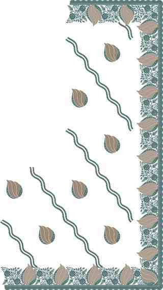 C Pallu Saree Design
