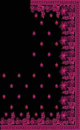 C Pallu Saree Design