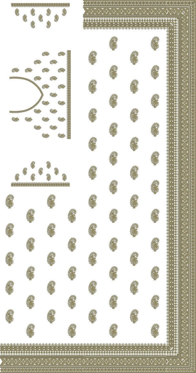 C Pallu Saree Design