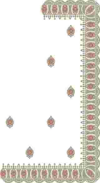 C Pallu Saree Design