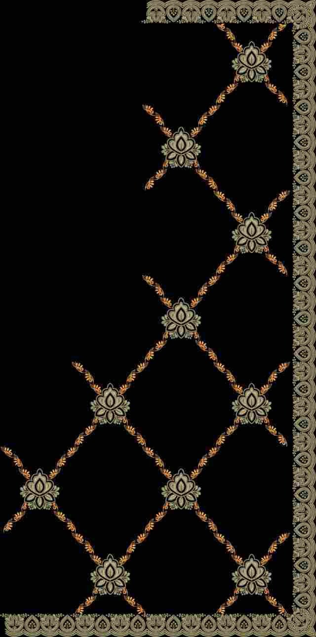 C Pallu Saree Design