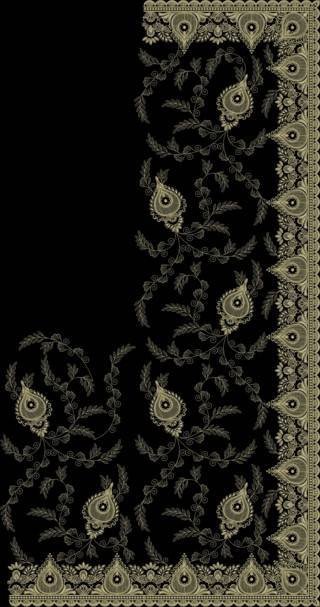 C Pallu Saree Design