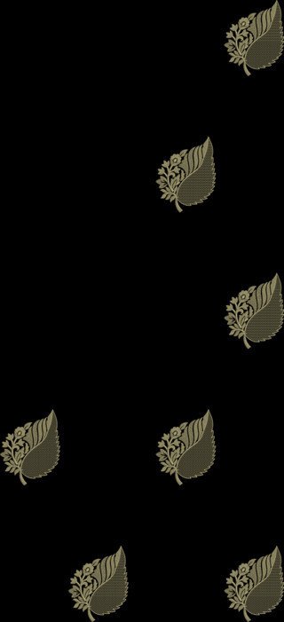 C Pallu Saree Design