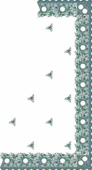C Pallu Saree Design