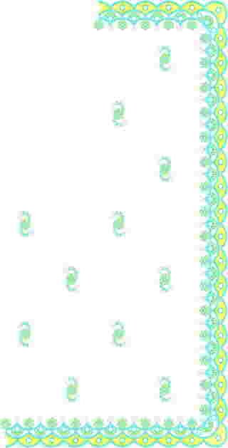 C Pallu Saree Design