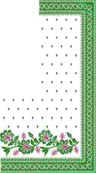 C Pallu Saree Design