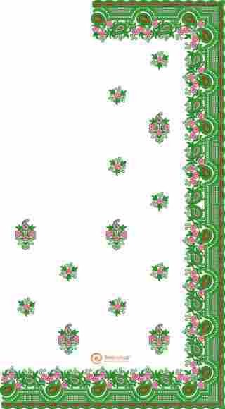C Pallu Saree Design