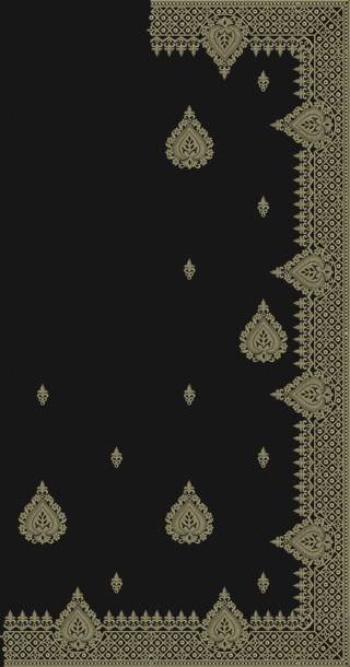 C Pallu Saree Design