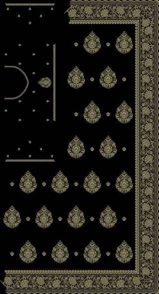 C Pallu Saree Design