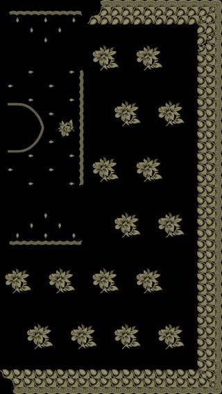 C Pallu Saree Design