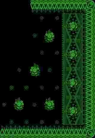 C Pallu Saree Design