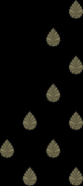 C Pallu Saree Design