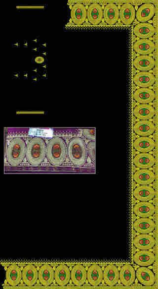 C Pallu Saree Design