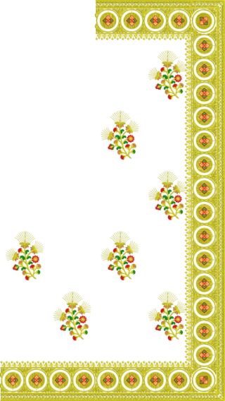 C Pallu Saree Design