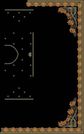 C Pallu Saree Design