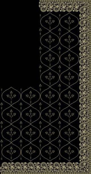 C Pallu Saree Design
