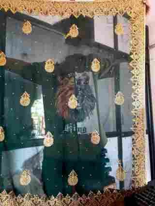 C Pallu Saree Design