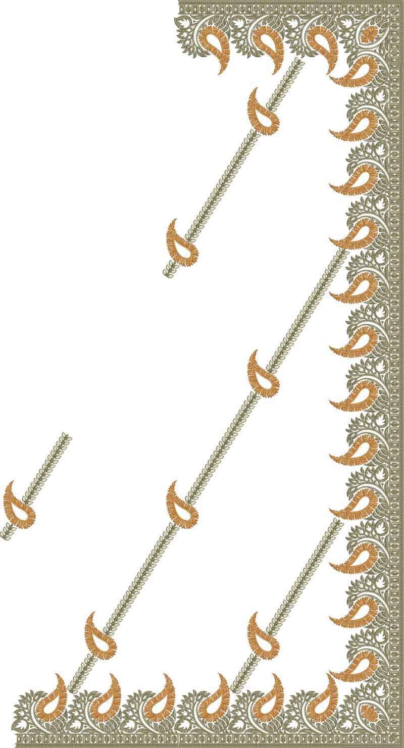 C Pallu Saree Design