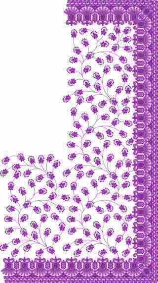 C Pallu Saree Design