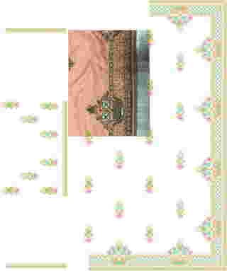 C Pallu Saree Design