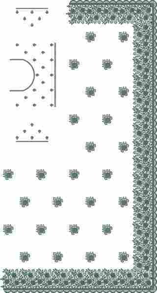 C Pallu Saree Design