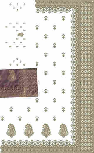 C Pallu Saree Design