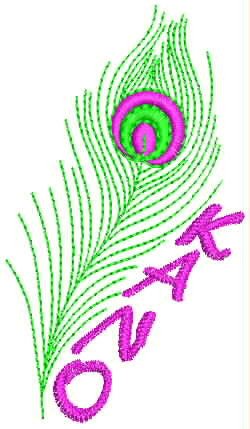 Multi Creative Design