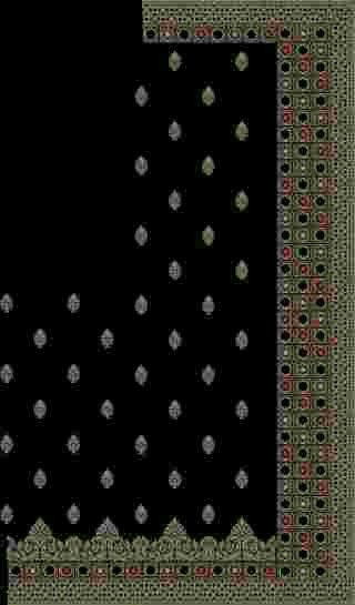C Pallu Saree Design