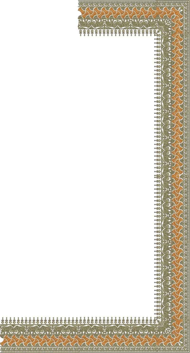 C Pallu Saree Design