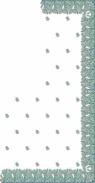 C Pallu Saree Design