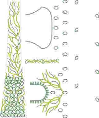Cording Lehenga Design