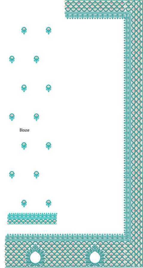 C Pallu Saree Design