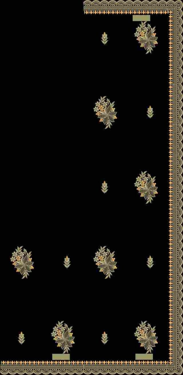 C Pallu Saree Design