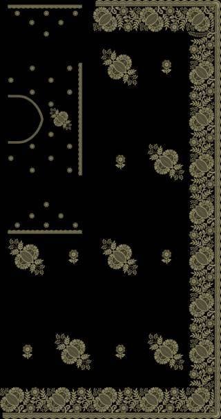 C Pallu Saree Design