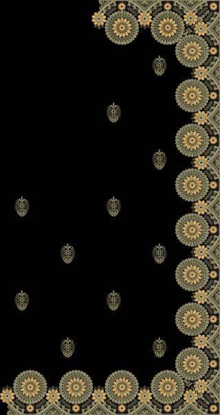 C Pallu Saree Design