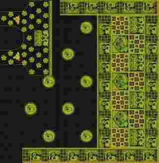C Pallu Saree Design
